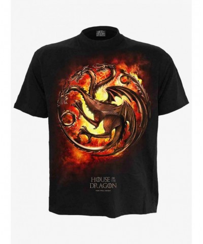 Hot Sale House Of The Dragon Dragon Flames T-Shirt $7.79 T-Shirts