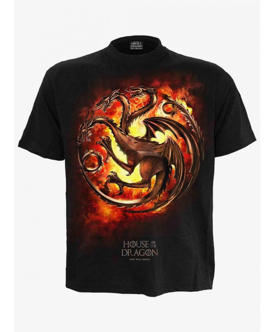 Hot Sale House Of The Dragon Dragon Flames T-Shirt $7.79 T-Shirts