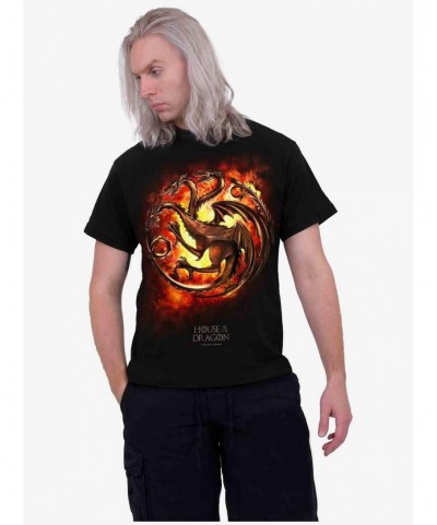 Hot Sale House Of The Dragon Dragon Flames T-Shirt $7.79 T-Shirts