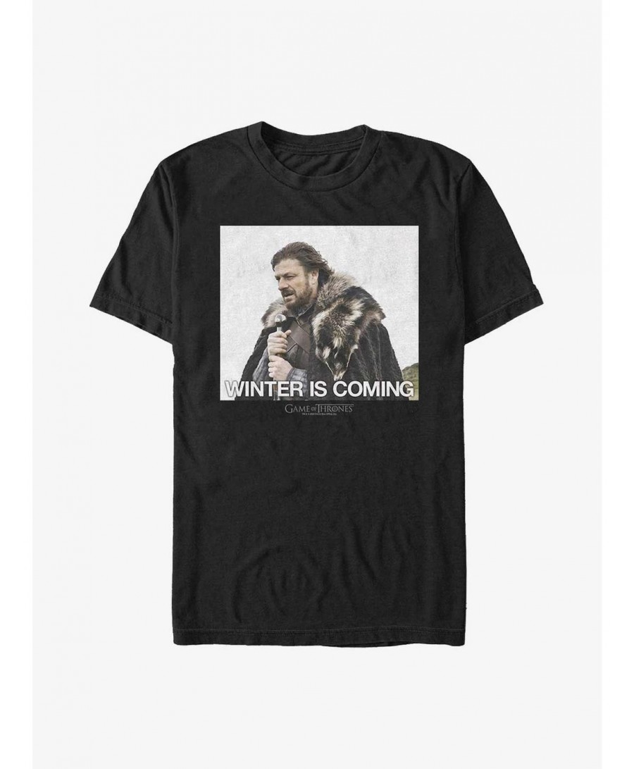 Wholesale Game Of Thrones Eddard Stark Winter Is Coming T-Shirt $9.18 T-Shirts