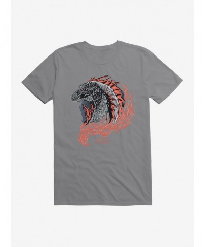 Trendy House of the Dragon Burning Dragon T-Shirt $6.88 T-Shirts