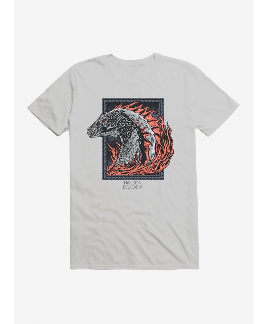 New Arrival House of the Dragon Burning Dragon T-Shirt $7.07 T-Shirts